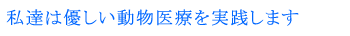 優しい動物医療
