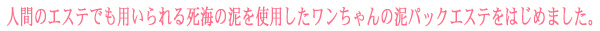 人間のエステでも使用している泥パック